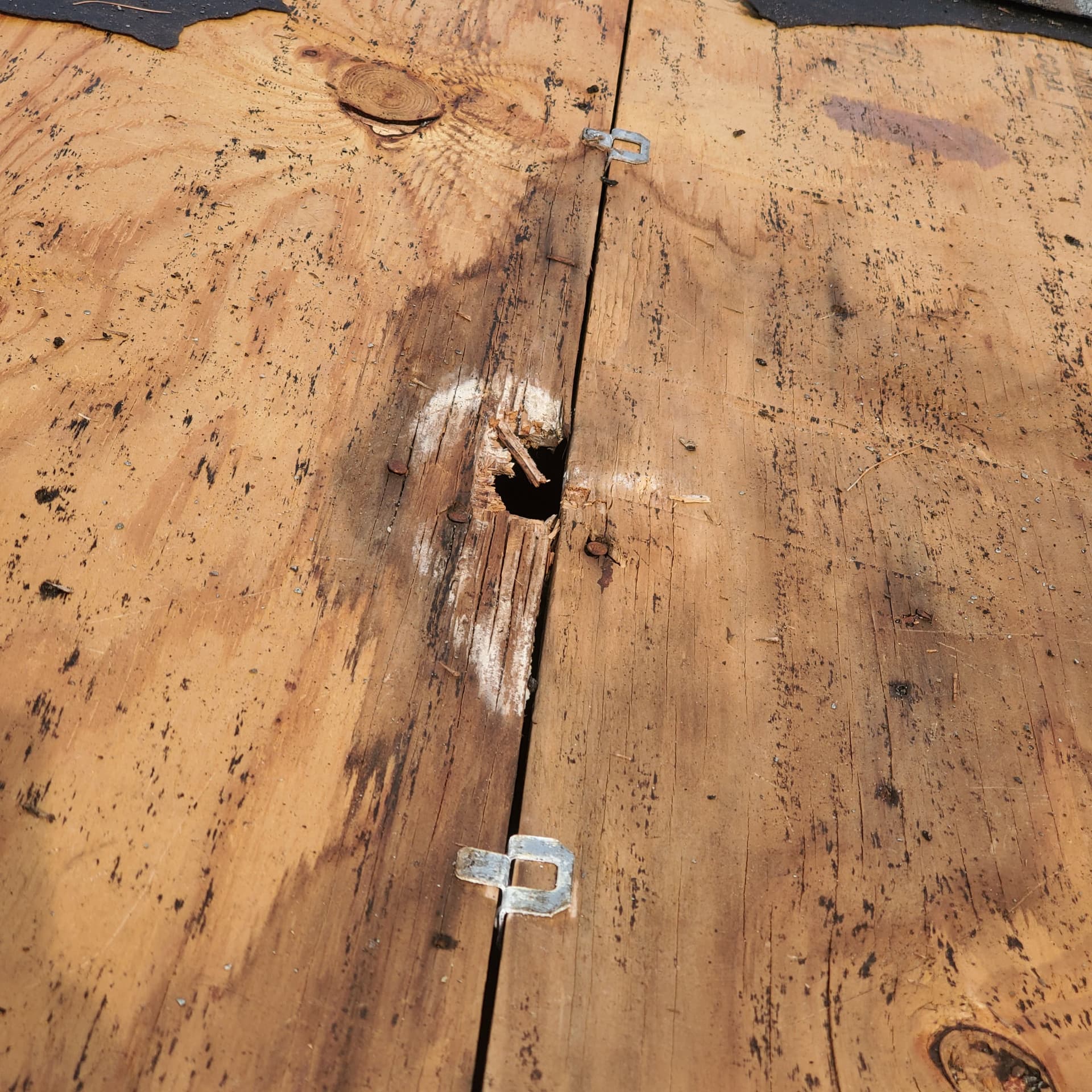 Gallery photos for Hidden Roof Damage That's Worse Than It Looks: Image #7