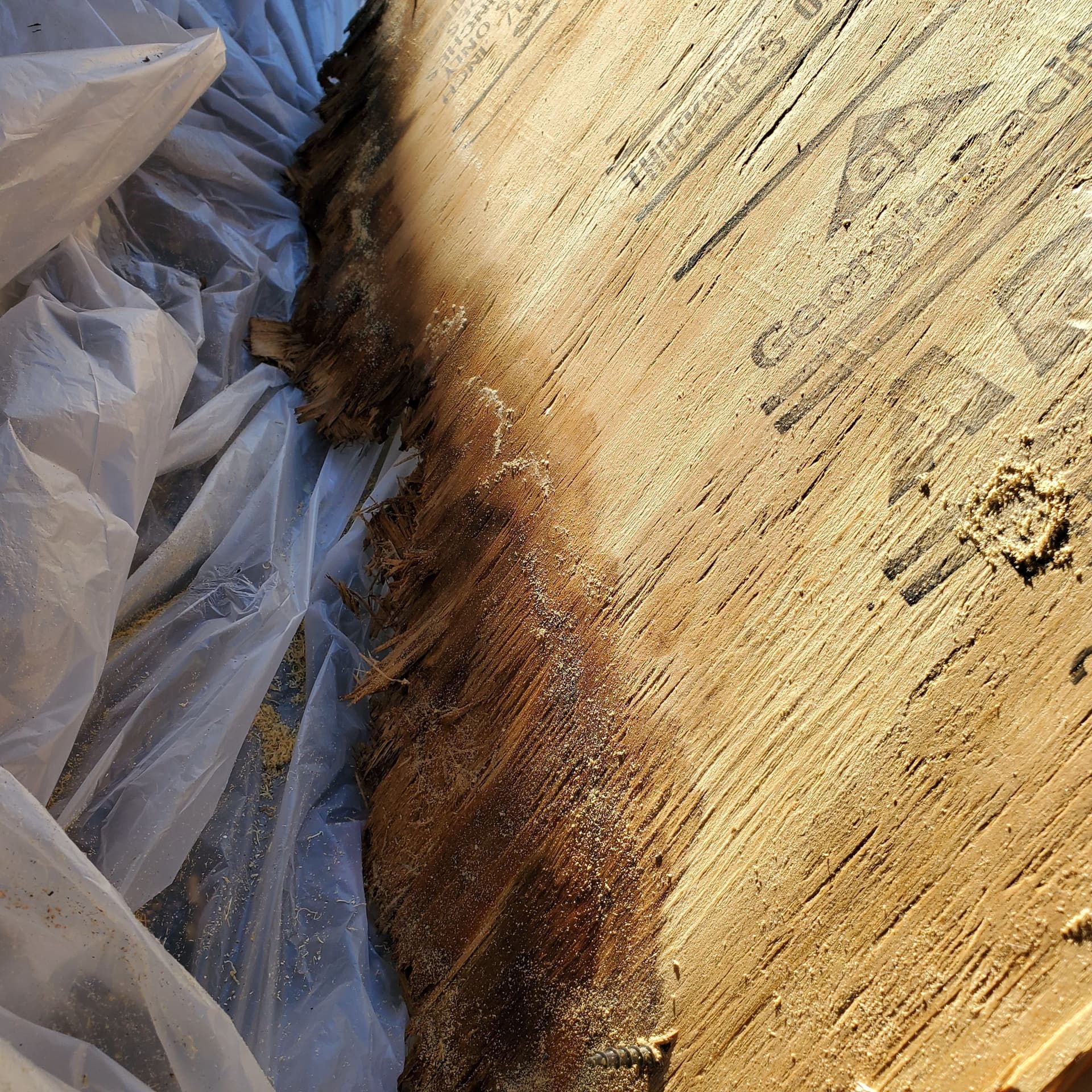 Gallery photos for Hidden Roof Damage That's Worse Than It Looks: Image #2