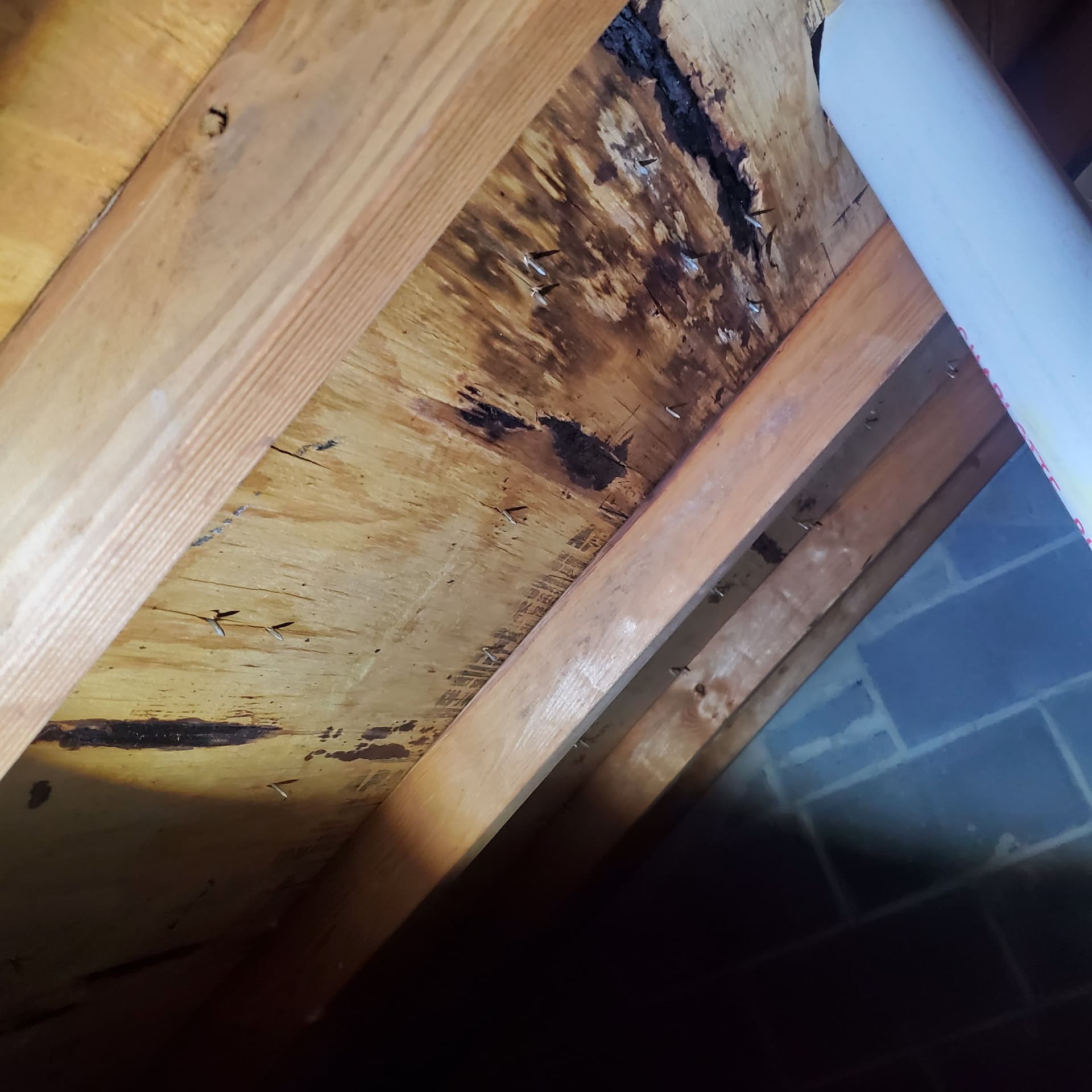 Gallery photos for Hidden Roof Damage That's Worse Than It Looks: Image #4