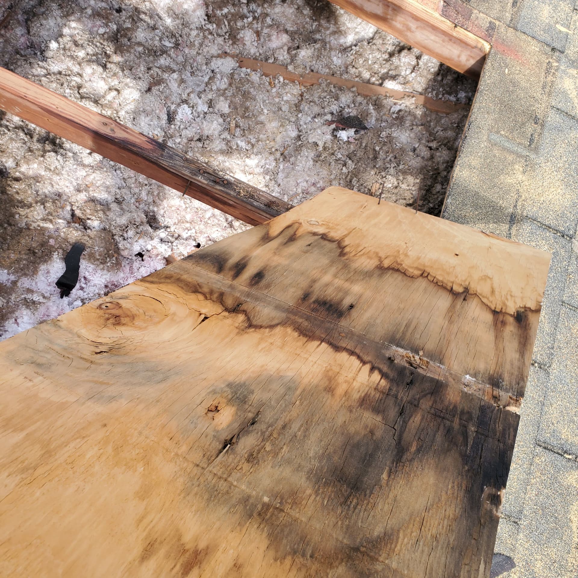 Gallery photos for Hidden Roof Damage That's Worse Than It Looks: Image #6