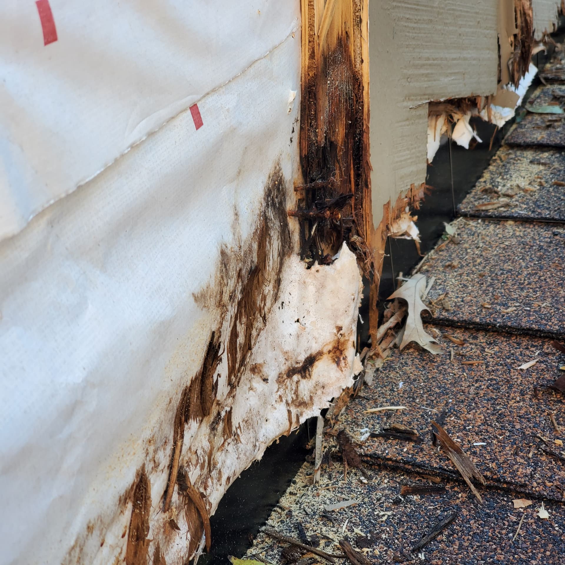 Gallery photos for Hidden Roof Damage That's Worse Than It Looks: Image #3