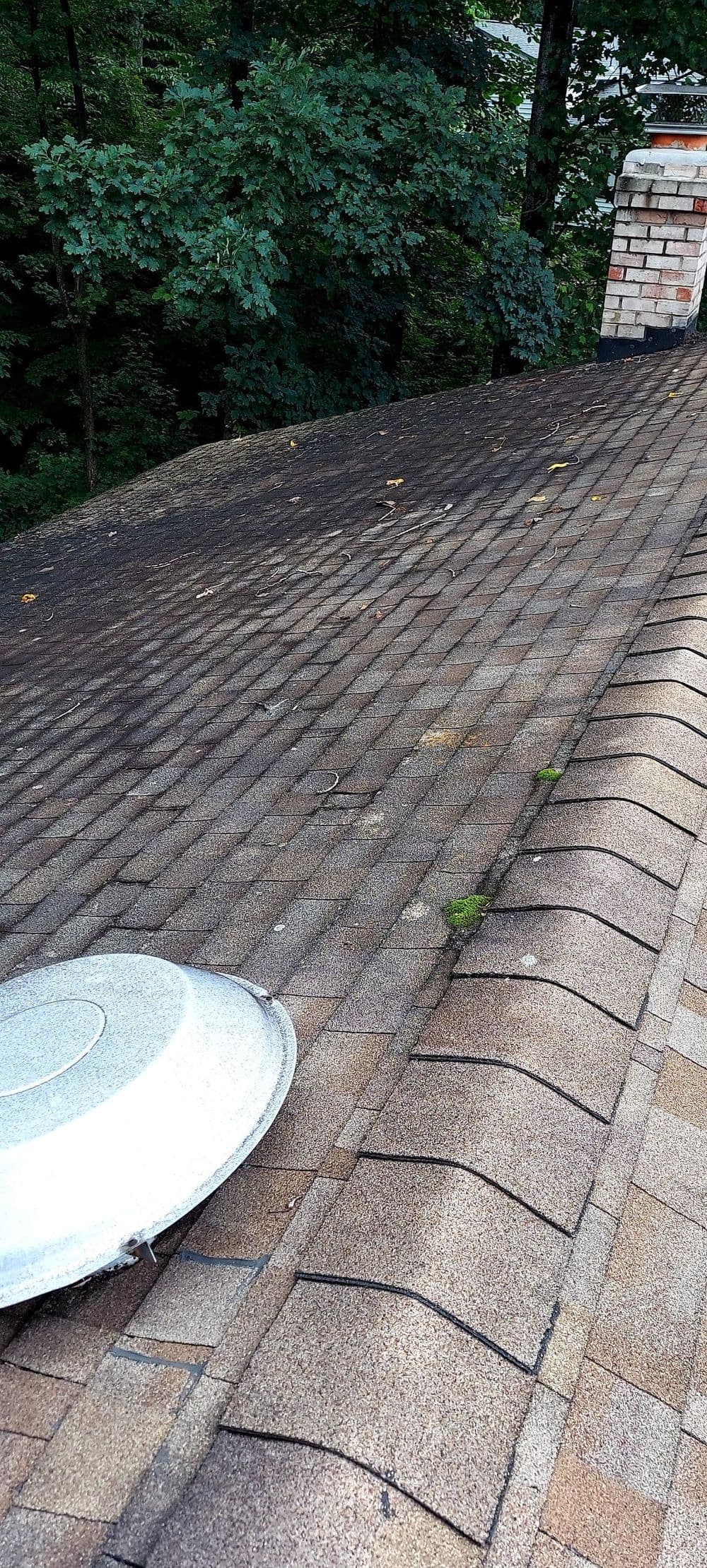 Roof shingles with moss and a circular vent cap in a wooded area.