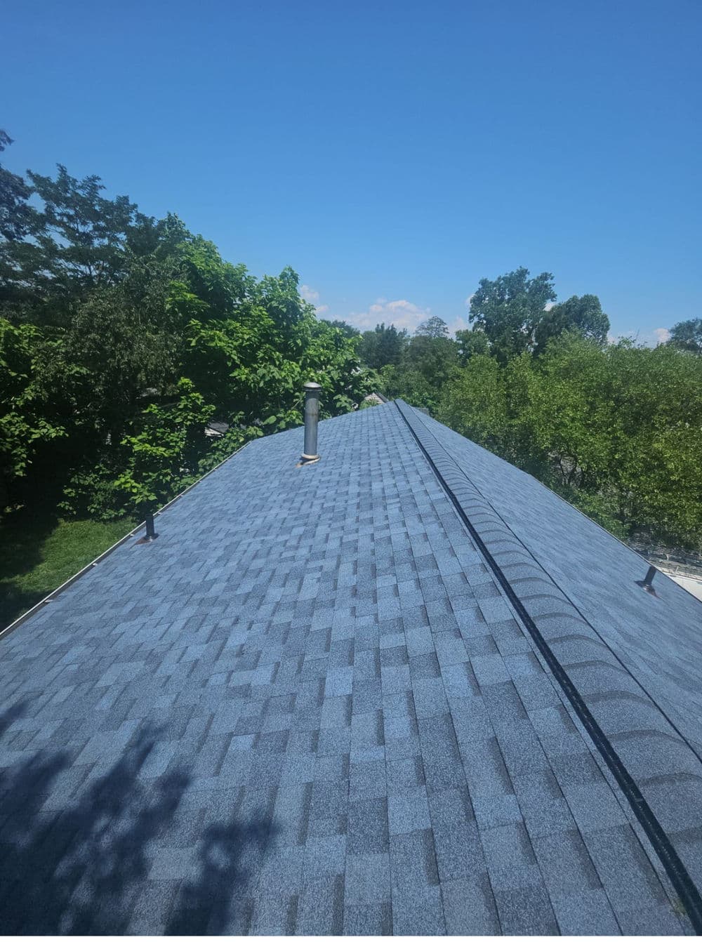 Aerial view of a blue shingle roof with green trees under a clear blue sky.