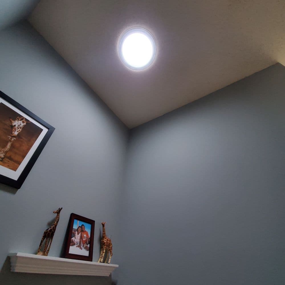 Skylight illuminating a gray wall with framed photos and decorative giraffe figurines.