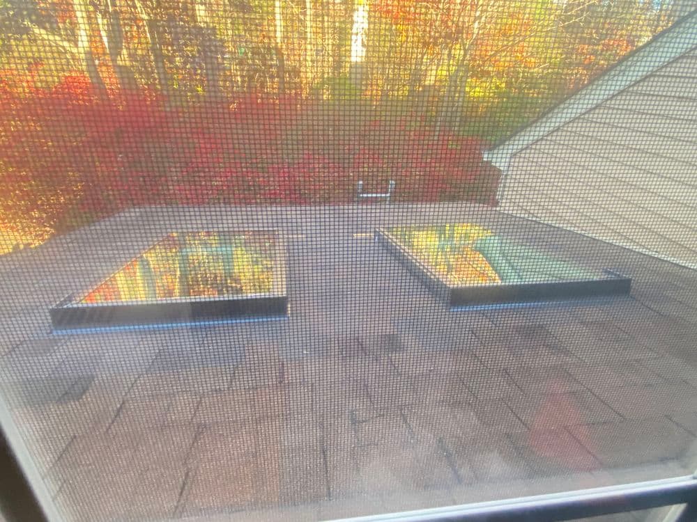 Two skylights on a roof reflecting autumn foliage in a vibrant, colorful forest.