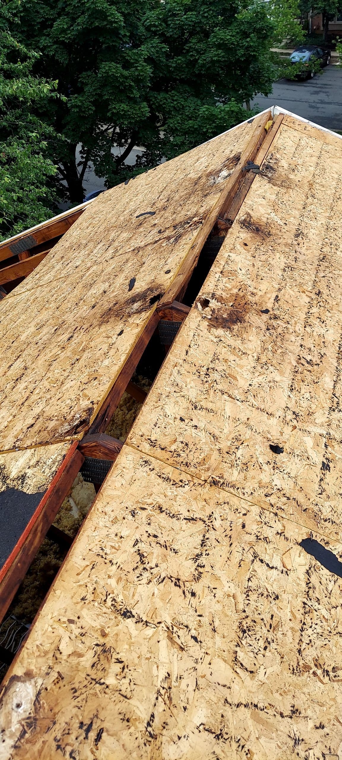 Gallery photos for Hidden Wood Rot That Started as a Small Roof Leak: Image #4