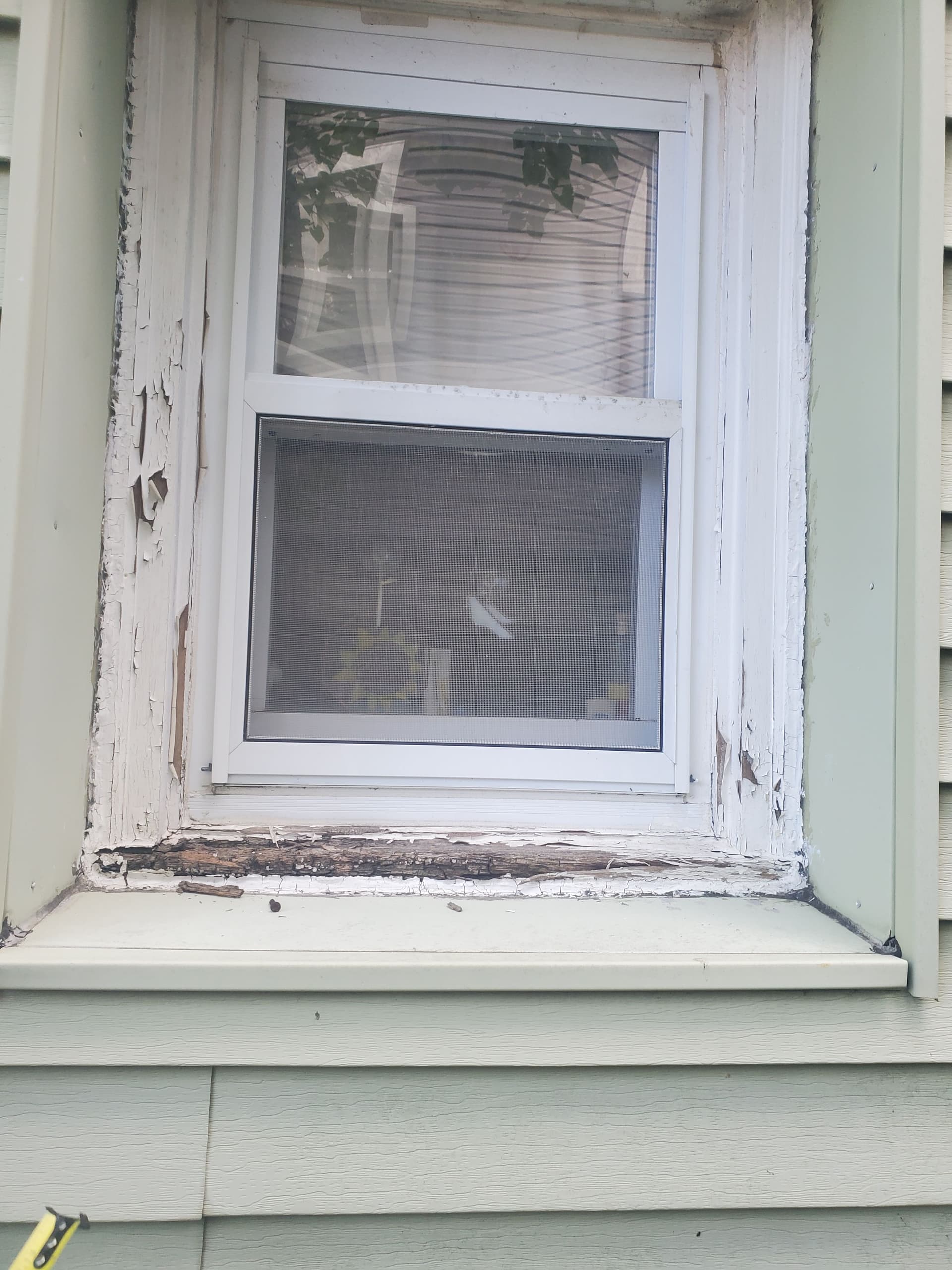 Gallery photos for Rotting Wood Window Trim Fixed Without Full Window Replacement: Image #1