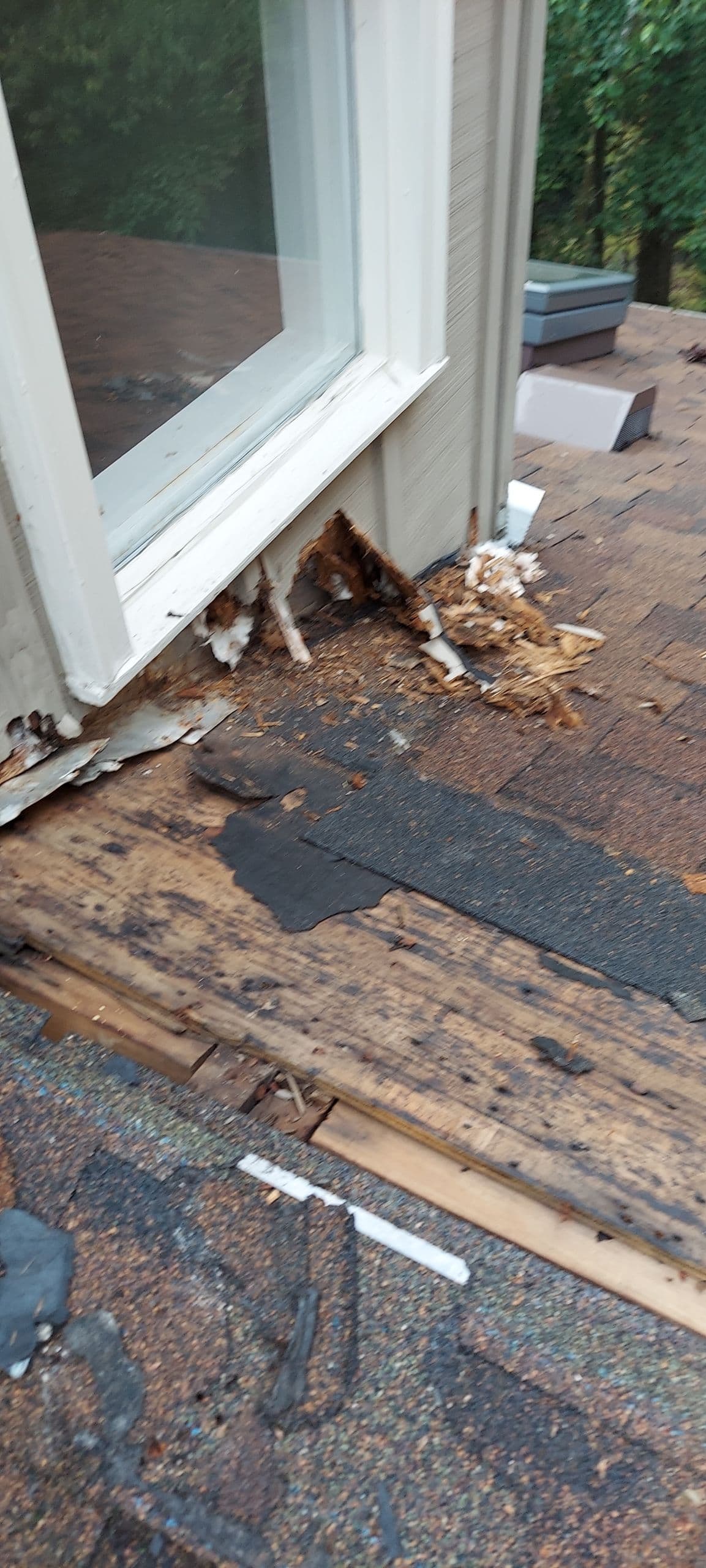 Gallery photos for What a Roof Leak Actually Does to Your Home: Image #1