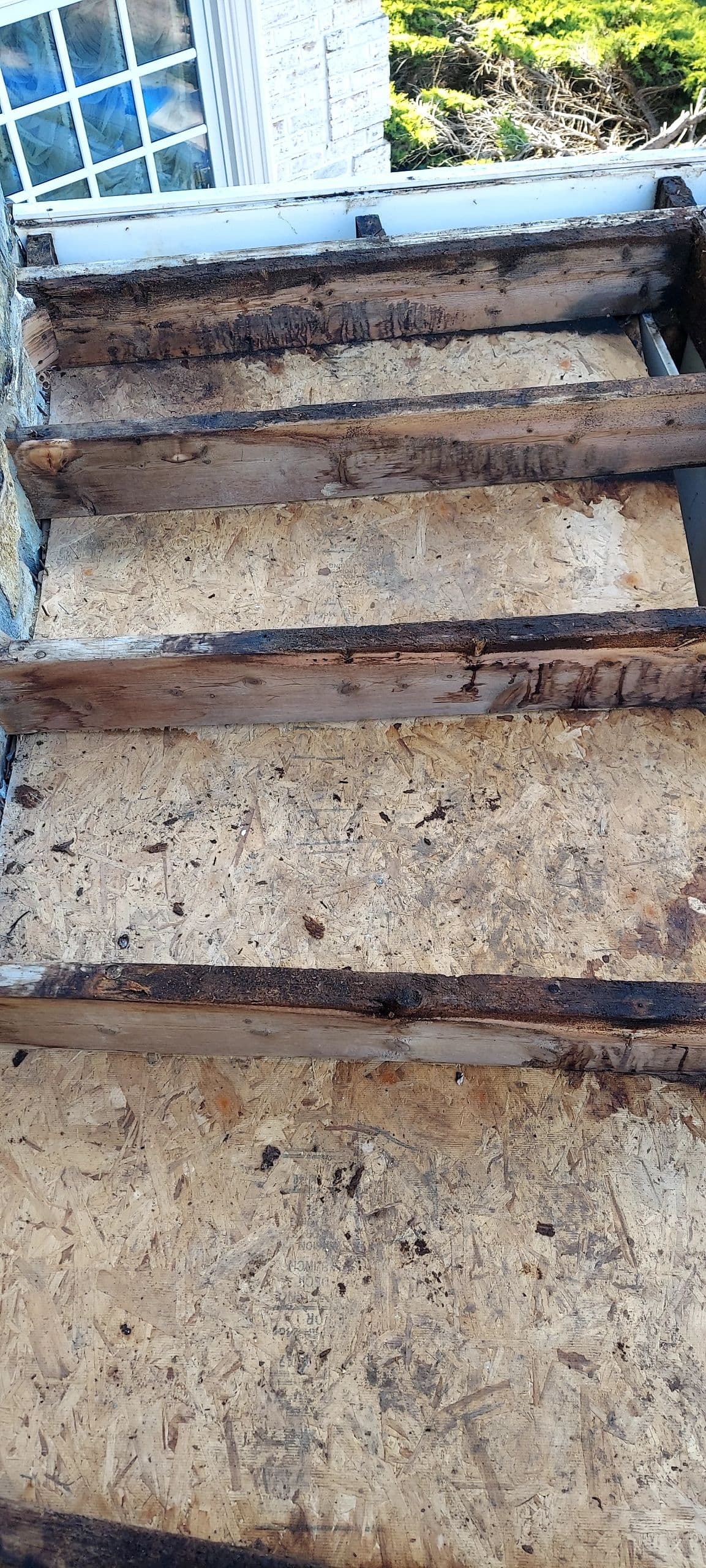 Gallery photos for Hidden Wood Rot That Started as a Small Roof Leak: Image #5