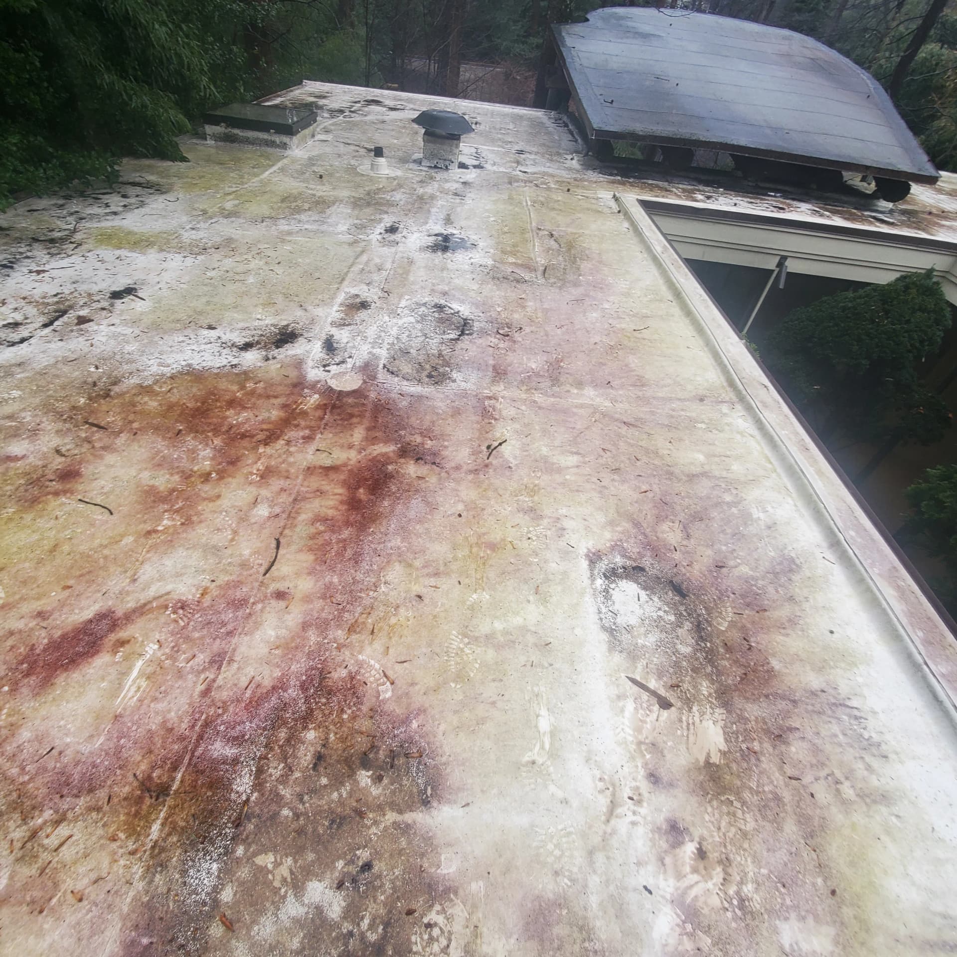 Why Flat Roof Drainage Is the Problem Nobody Talks About image