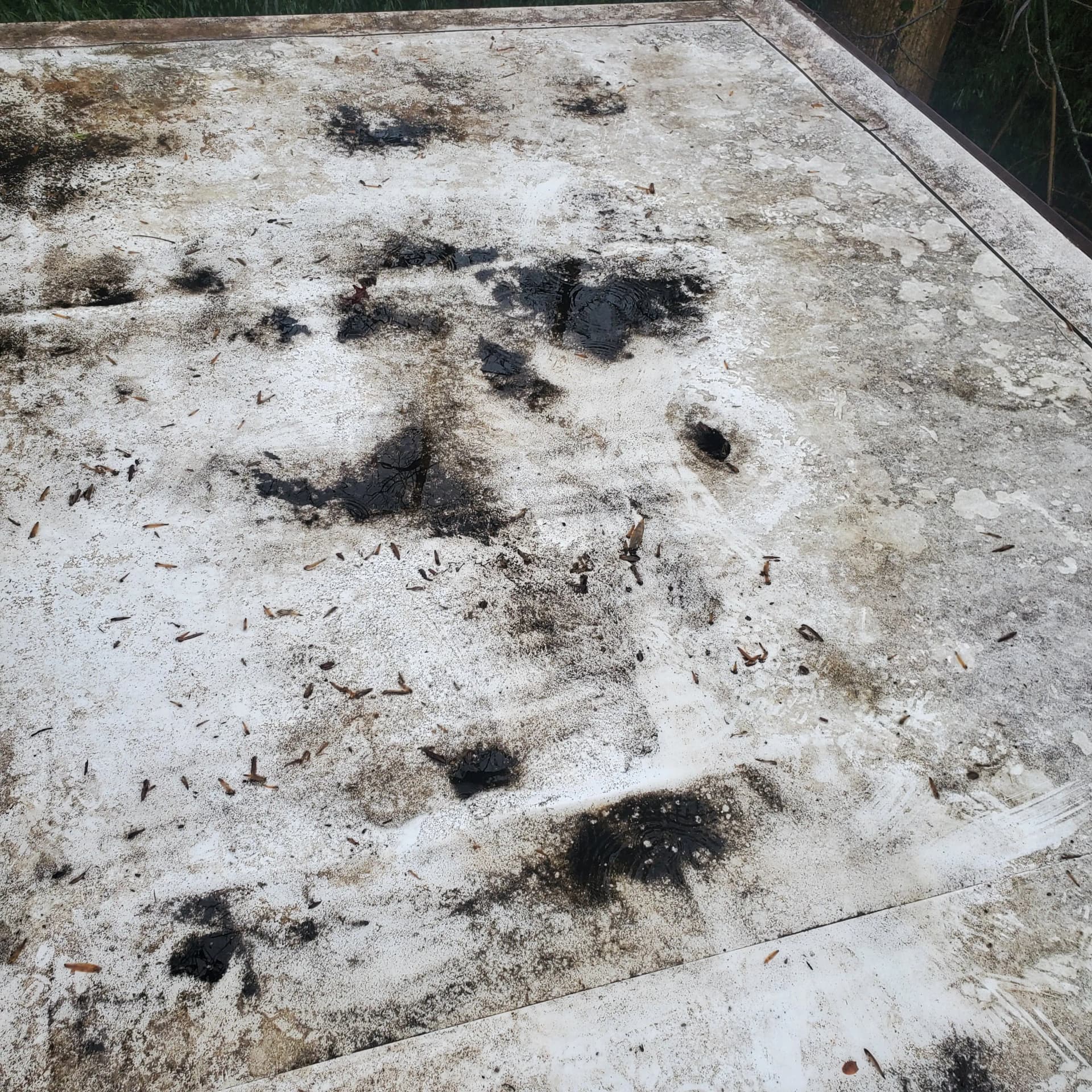Gallery photos for Why Flat Roof Drainage Is the Problem Nobody Talks About: Image #1