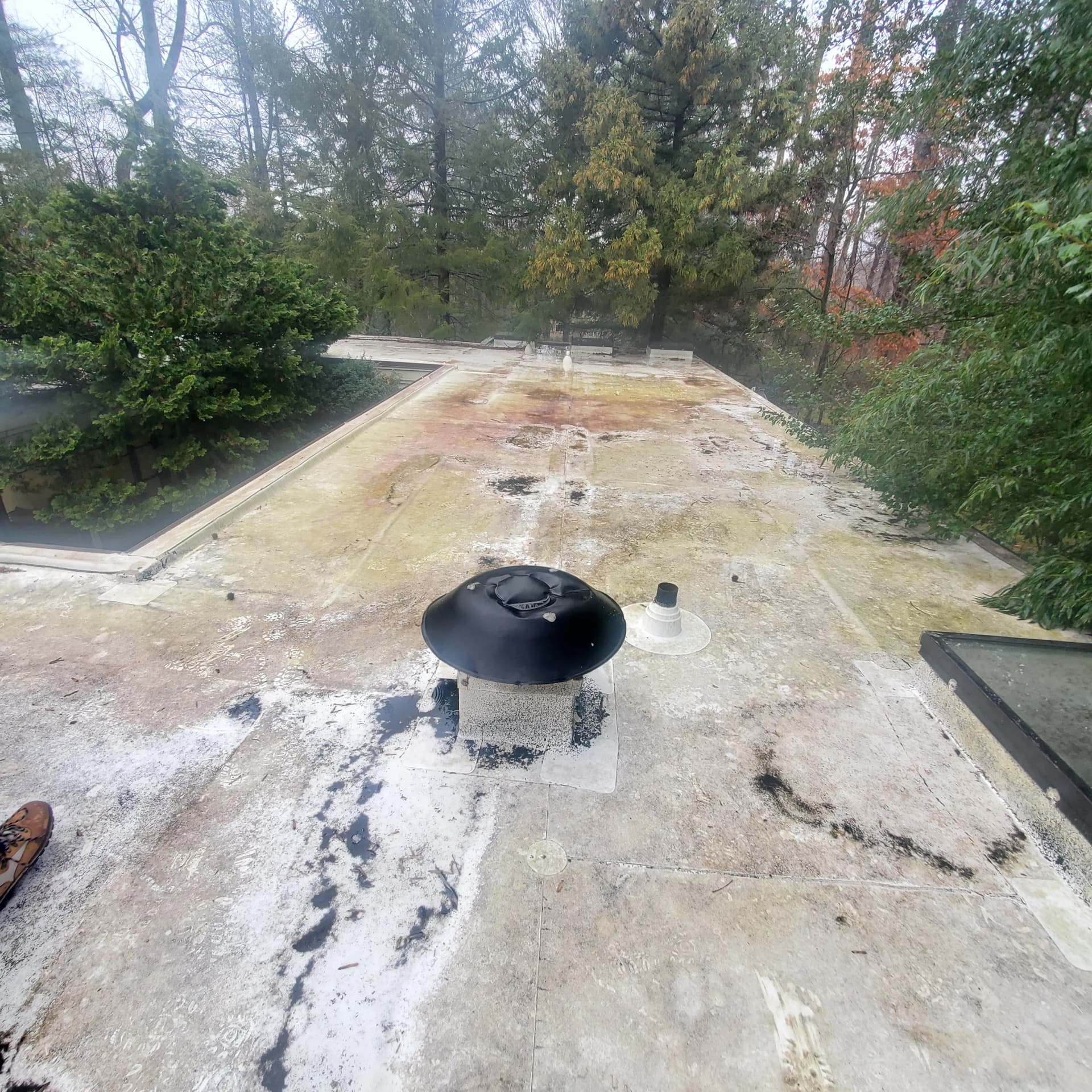 Gallery photos for Why Flat Roof Drainage Is the Problem Nobody Talks About: Image #3