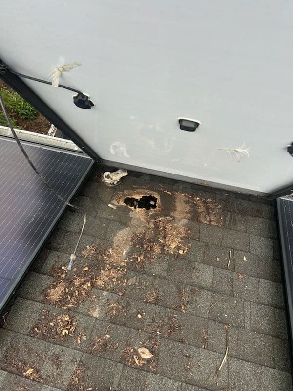 Gallery photos for What Solar Installers Won't Tell You About Your Roof: Image #1