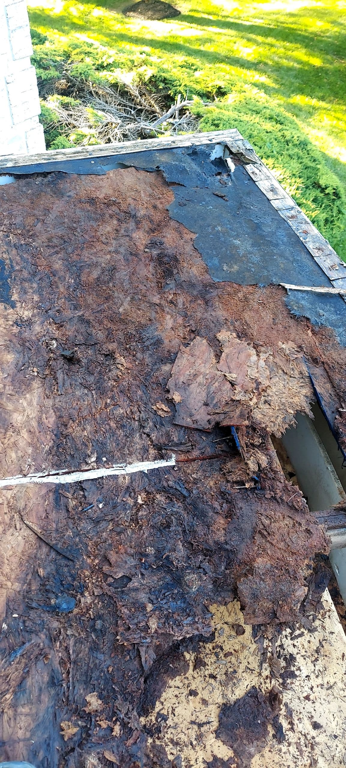 Hidden Wood Rot That Started as a Small Roof Leak image