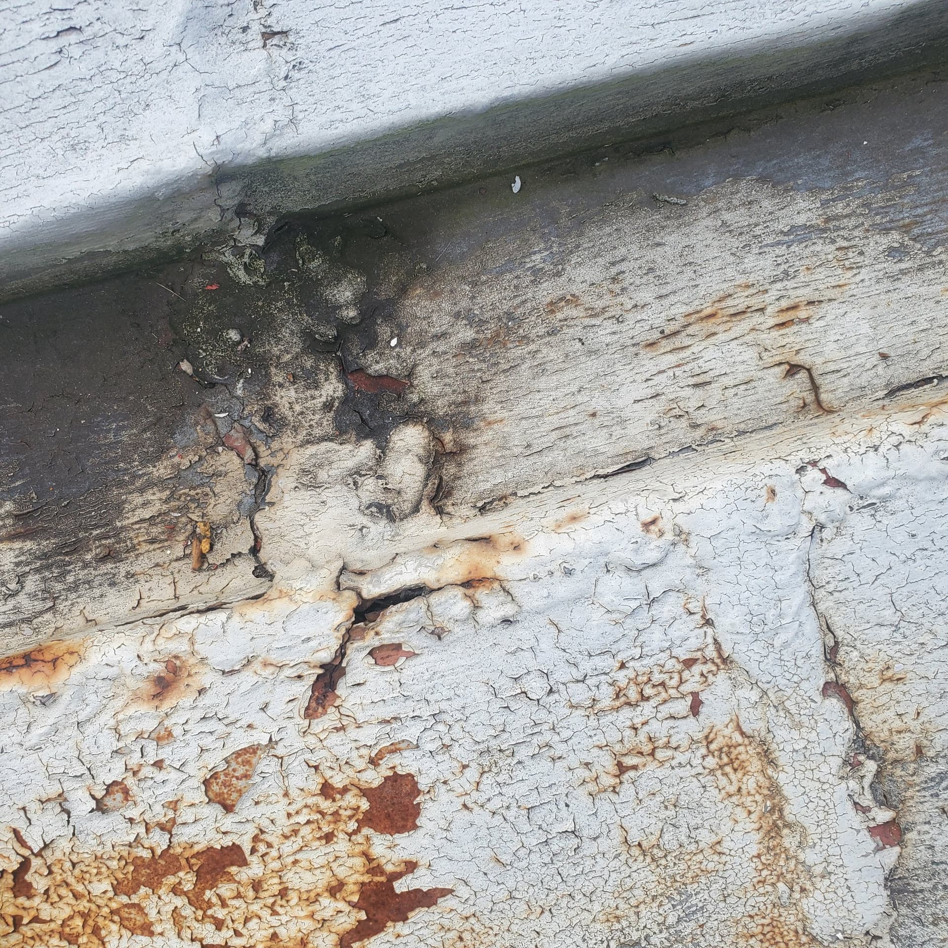 Gallery photos for Flat Roof Metal Membrane Repair and Full Restoration: Image #6
