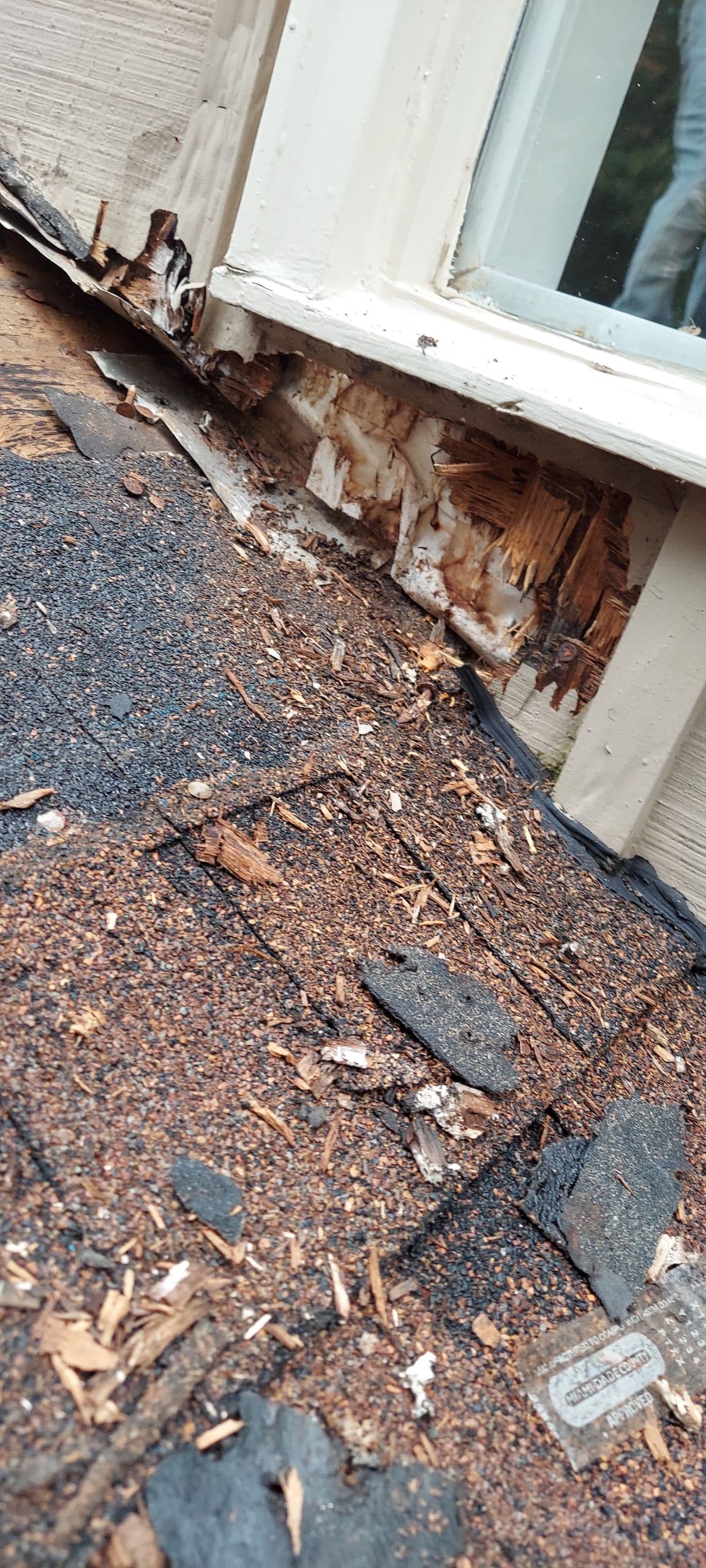 What a Roof Leak Actually Does to Your Home image