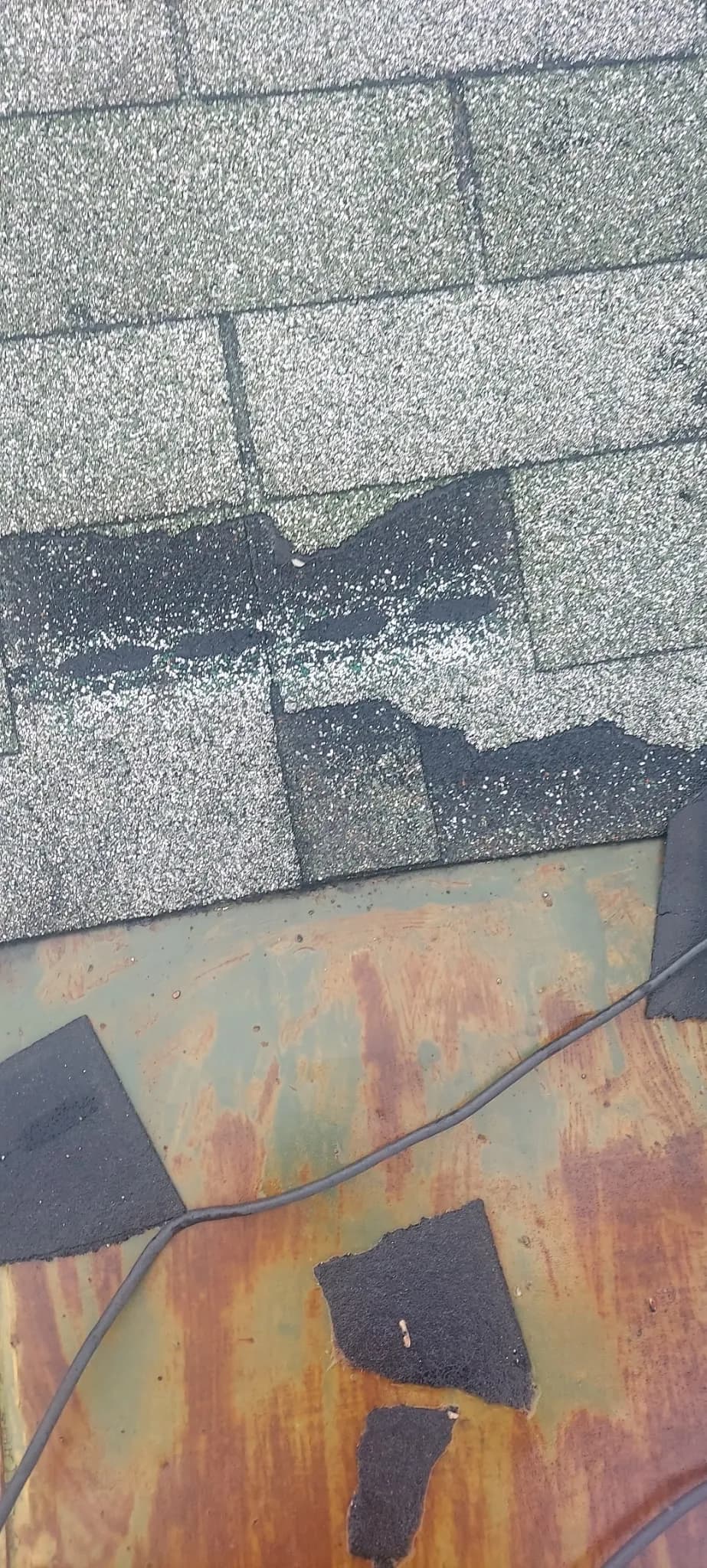 Wind-Damaged Roof? Missing Shingles Are a Bigger Deal Than You Think image
